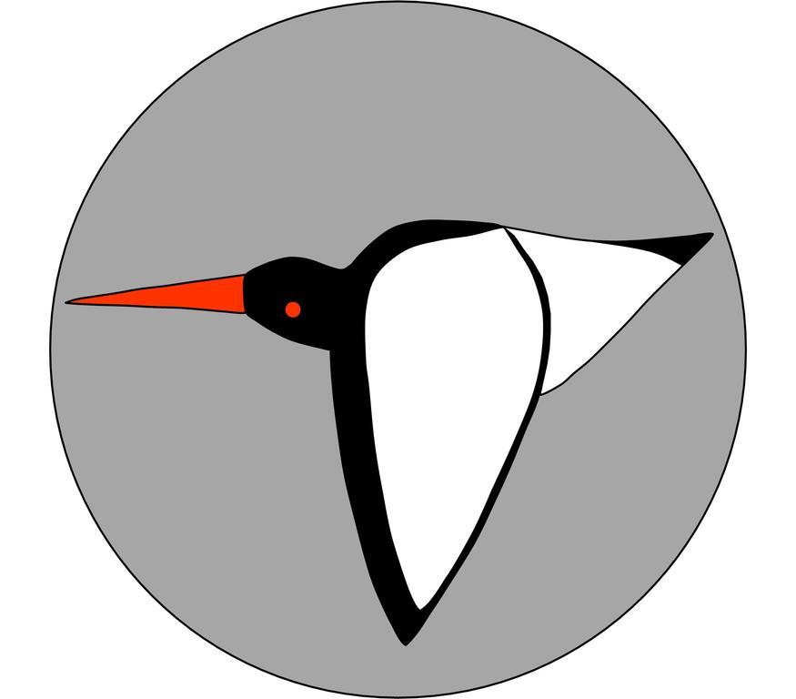 Oystercatcher St Ives  Ngoại thất bức ảnh